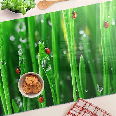 Üveg vágódeszka Vízcseppek a fűben katicabogarakkal
