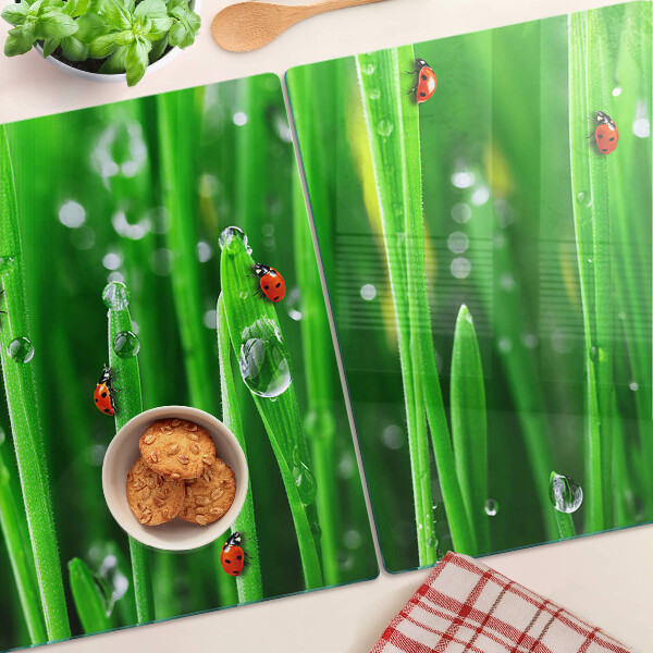 Üveg vágódeszka Vízcseppek a fűben katicabogarakkal