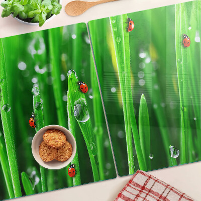 Üveg vágódeszka Vízcseppek a fűben katicabogarakkal