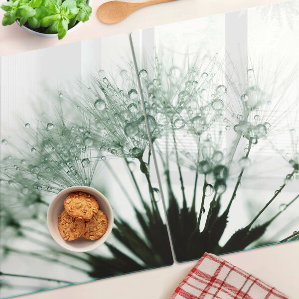 Üveg vágódeszka fényképpel Pitypangok vízcseppekkel