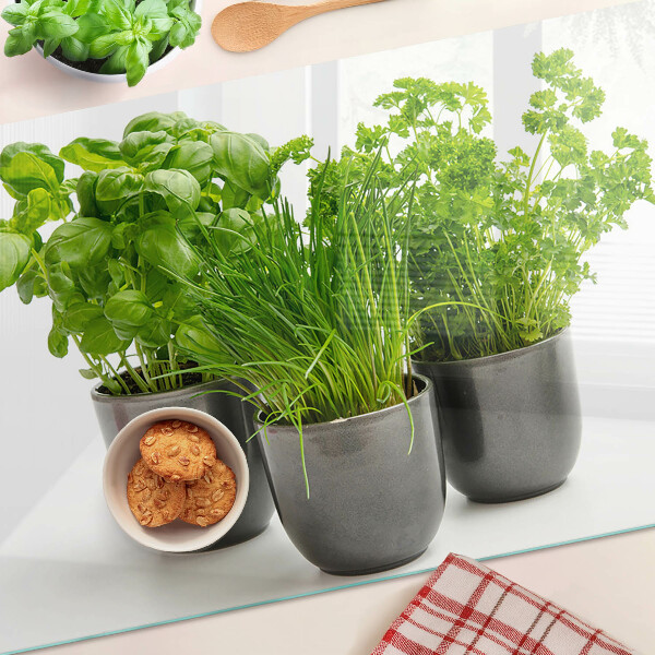Edzett üveg vágódeszka Cserépben lévő gyógynövények