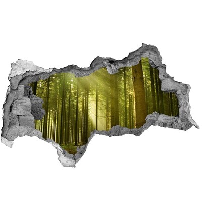 Fali matrica lyuk a falban Zöld erdő reggel