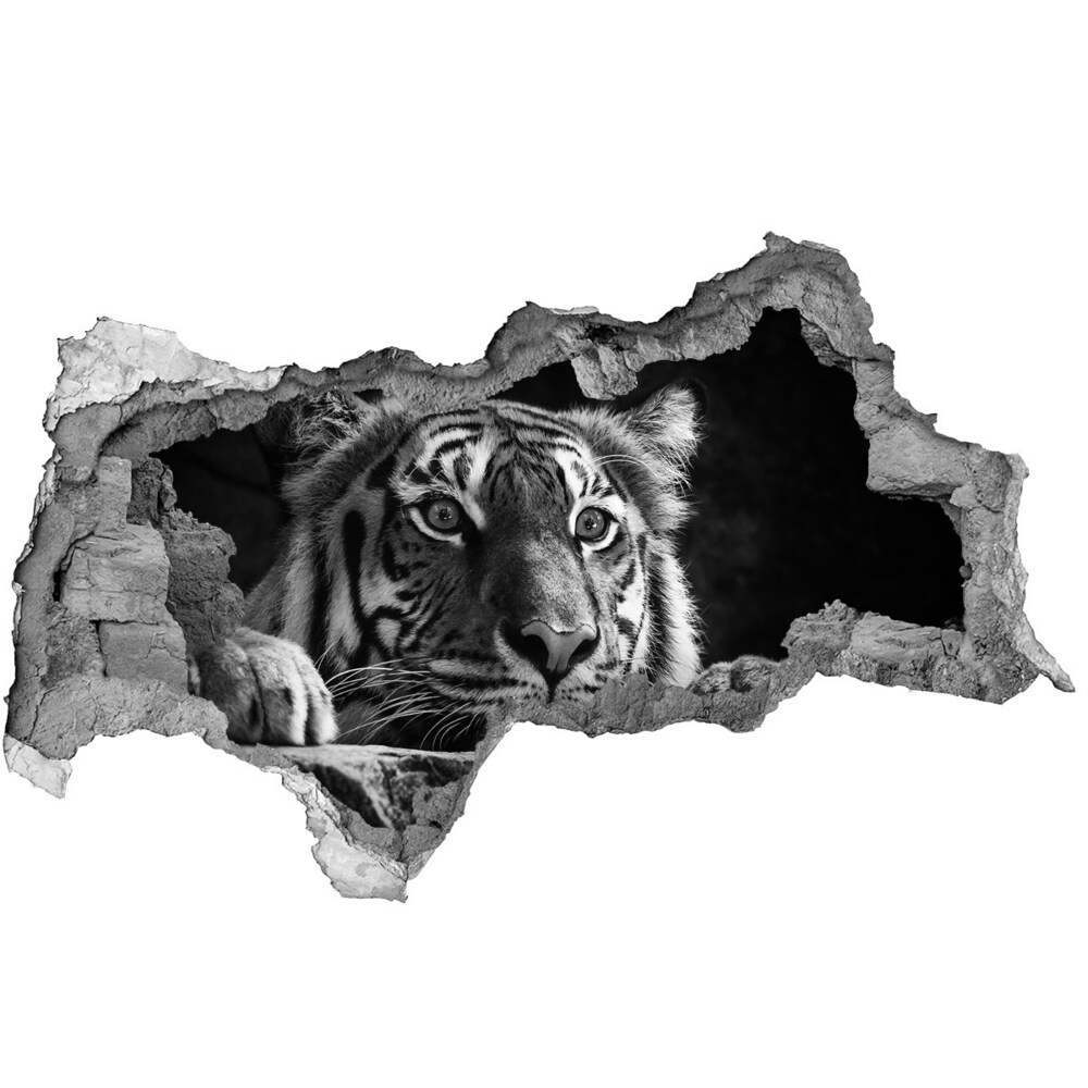 Fali matrica lyuk a falban Tigris