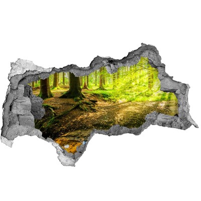 Fali matrica lyuk a falban Zöld erdő patakkal