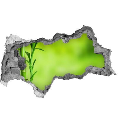 Fali matrica lyuk a falban Zöld oázis a fal mögött