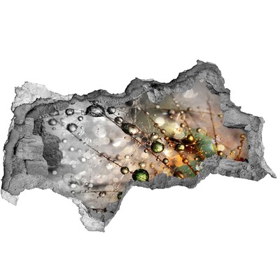 Fali matrica lyuk a falban Kristályszerkezet fényben