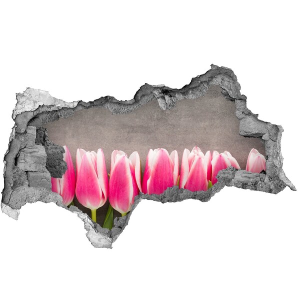 Fali matrica lyuk a falban Rózsaszín tulipánok
