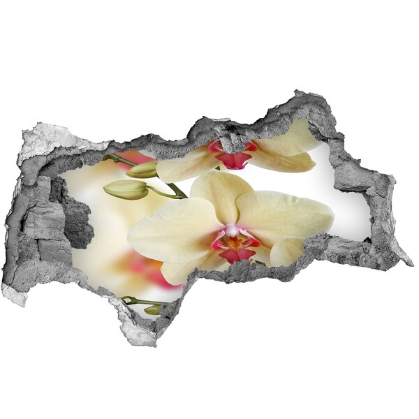 Fali matrica lyuk a falban Orchideák egy törött falban