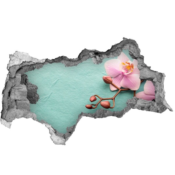 Fali matrica lyuk a falban Orchidea virág egy sérült falban