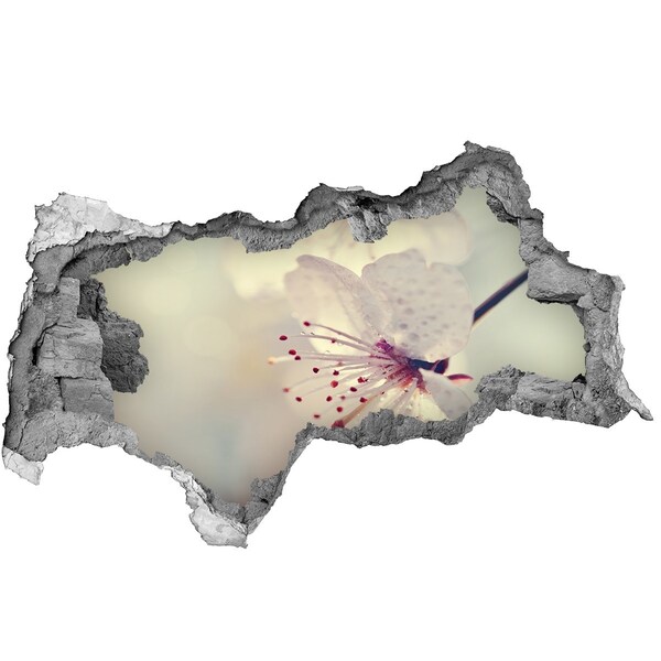 Fali matrica lyuk a falban Virágos álom a fal mögött