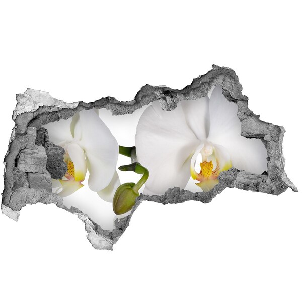 Fali matrica lyuk a falban Orchidea