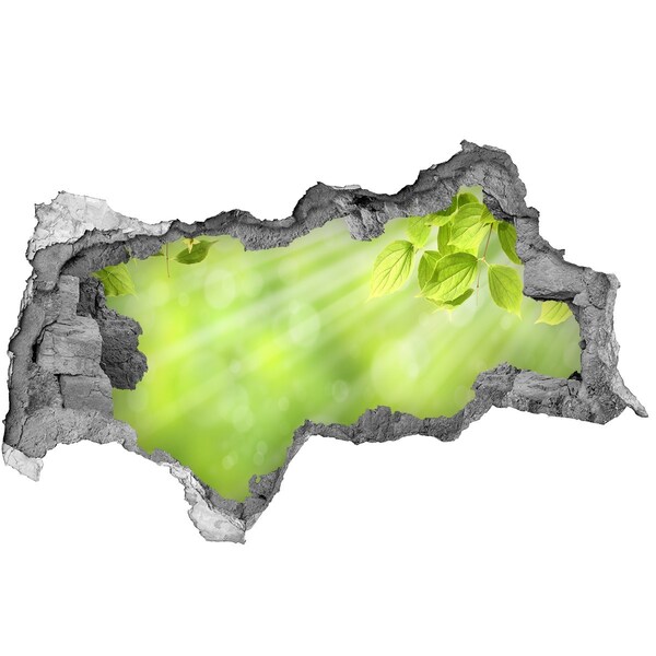 Fali matrica lyuk a falban Zöld paradicsom a fal mögött