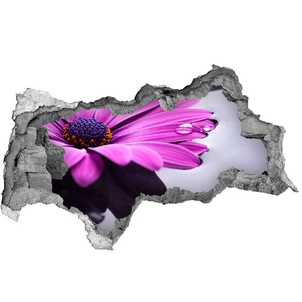 Fali matrica lyuk a falban Virágos oázis a fal mögött