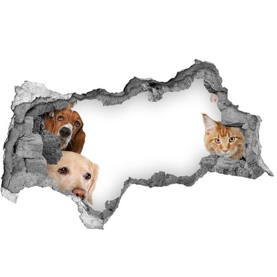 Fali matrica lyuk a falban Kutyák és macskák