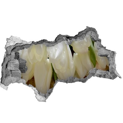 Fali matrica lyuk a falban Fehér tulipán