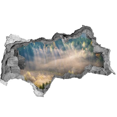 Fali matrica lyuk a falban Erdős táj a fal mögött