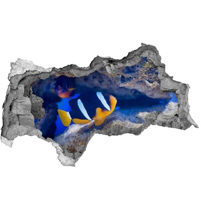 Fali matrica lyuk a falban A korallzátony víz alatti világa