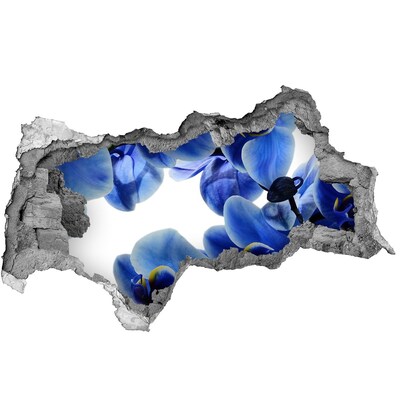 Fali matrica lyuk a falban Virágparadicsom a fal mögött