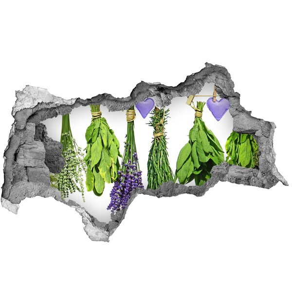 Fali matrica lyuk a falban Lyuk a falban gyógynövénykert