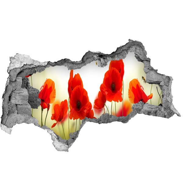 Fali matrica lyuk a falban Virágparadicsom méhecskével