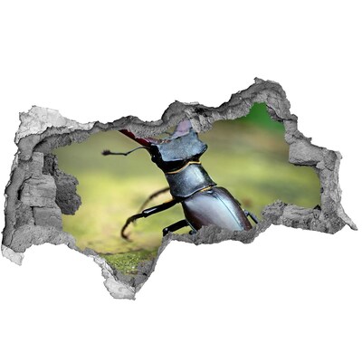 3d fali matrica lyuk a falban Lény az erdőből