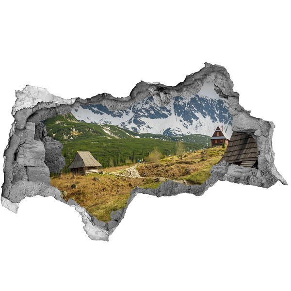 3d fali matrica lyuk a falban Hale tatry