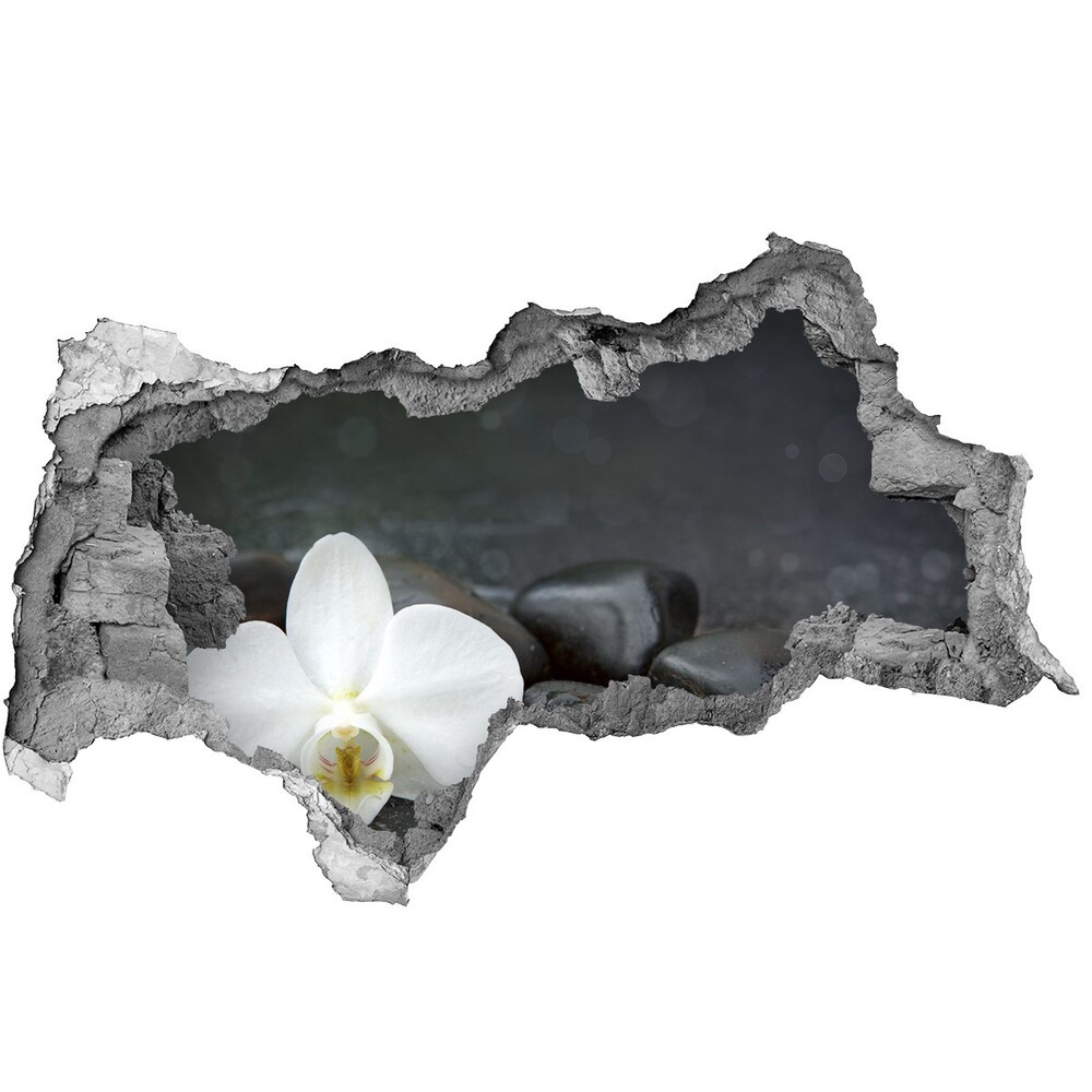 3d fali matrica lyuk a falban Orchidea