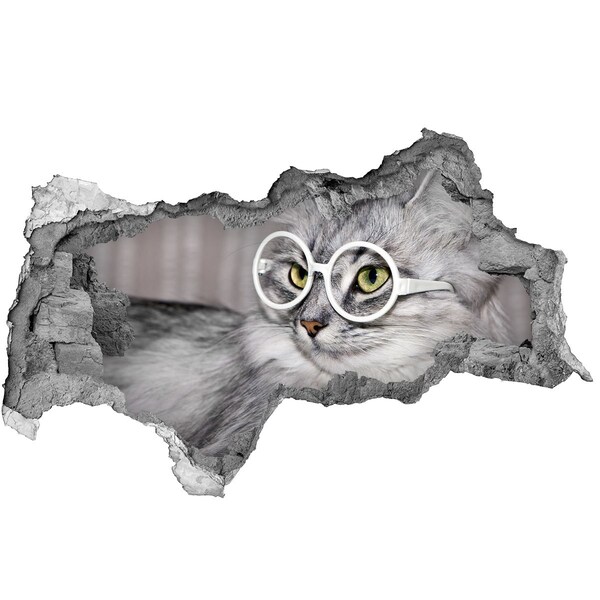 3d fali matrica lyuk a falban Cat szemüveg