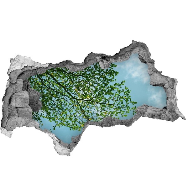 3d fali matrica lyuk a falban Zöld levelek a kék ég alatt