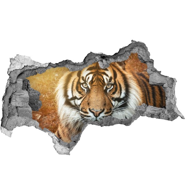 3d fali matrica lyuk a falban Bengáli tigris