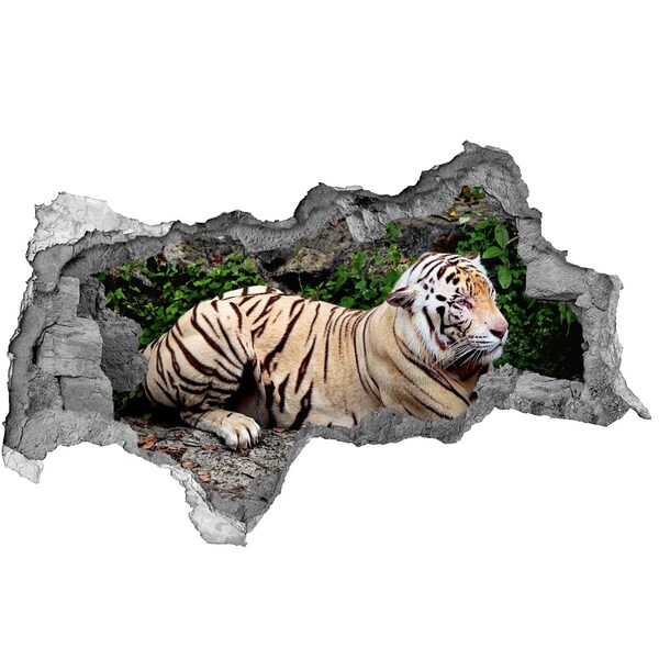 3d fali matrica lyuk a falban Tiger a rock