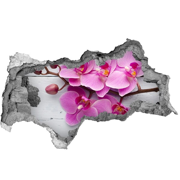 3d fali matrica lyuk a falban Orchid a fán