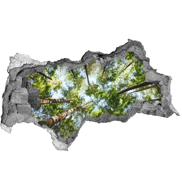 3d fali matrica lyuk a falban Kilátás az erdőre kék éggel