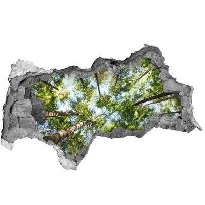 3d fali matrica lyuk a falban Kilátás az erdőre kék éggel