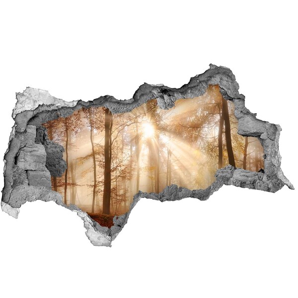 3d fali matrica lyuk a falban A Nap Erdei Hágója