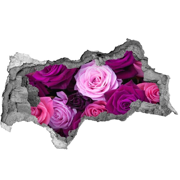 3d fali matrica lyuk a falban Roses