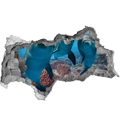 3d fali matrica lyuk a falban Delfinek egy korallzátonyban