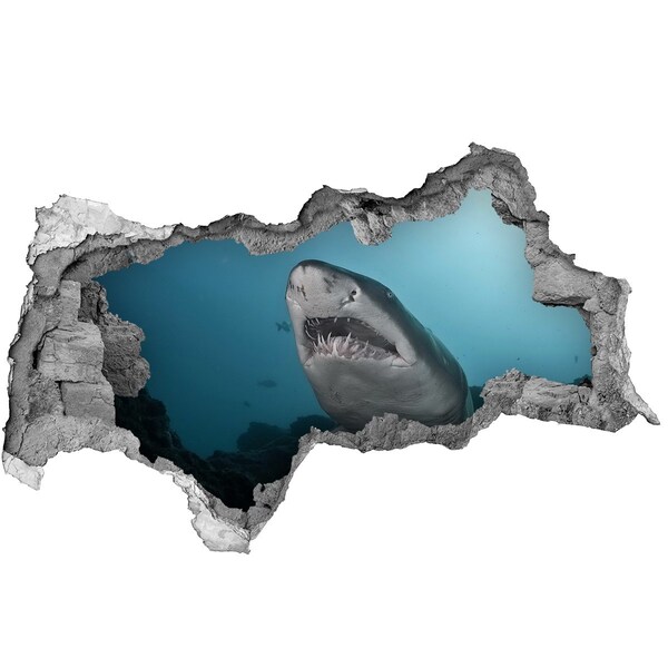 3d fali matrica lyuk a falban Nagy cápa