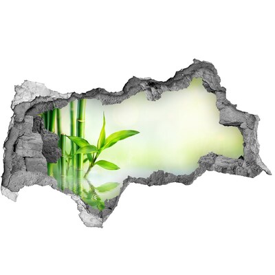 3d fali matrica lyuk a falban Zöld paradicsom bambusszal