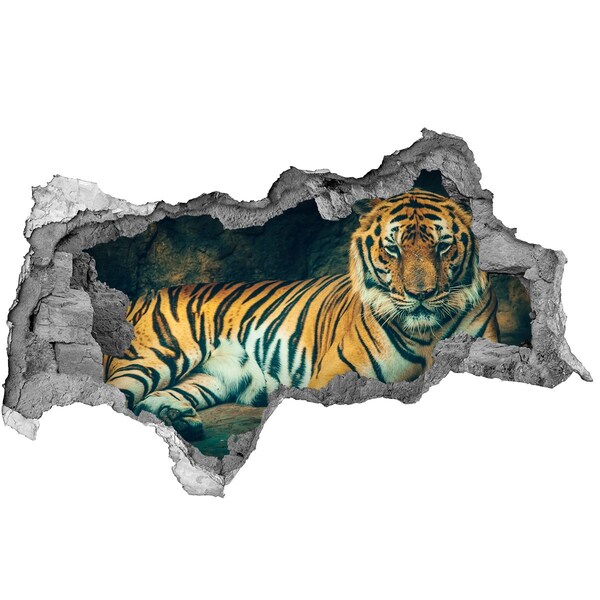 3d fali matrica lyuk a falban Tiger cave