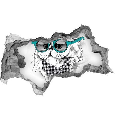 3d fali matrica lyuk a falban Cat szemüveg