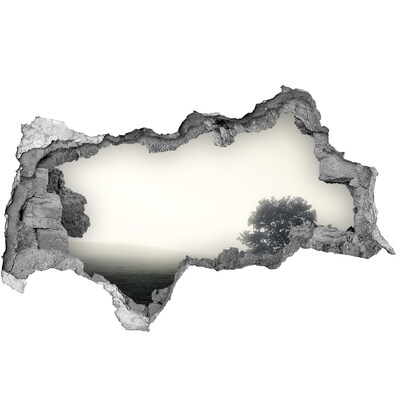 3d fali matrica lyuk a falban Egy ködös tisztáson egy magányos fa