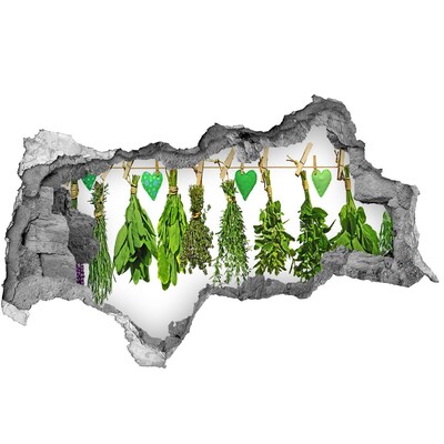 3d fali matrica lyuk a falban Lyuk a falban gyógynövénykert