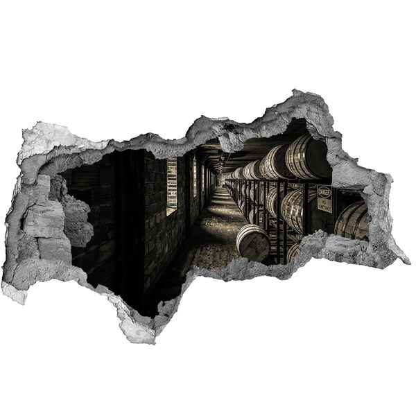 3d fali matrica lyuk a falban A hordós pince belseje