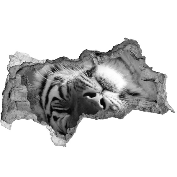 3d fali matrica lyuk a falban Alvó tigris