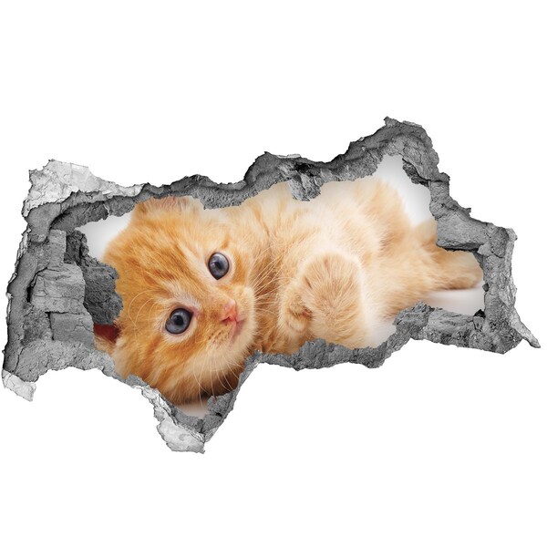 3d fali matrica lyuk a falban Red cat
