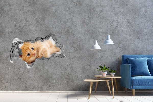 3d fali matrica lyuk a falban Red cat