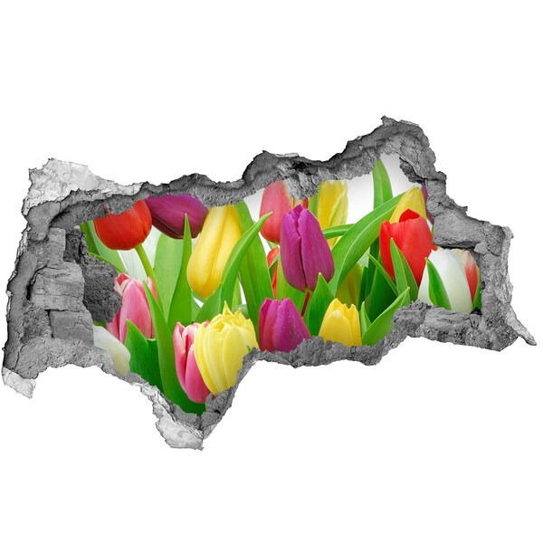 3d fali matrica lyuk a falban Színes tulipán