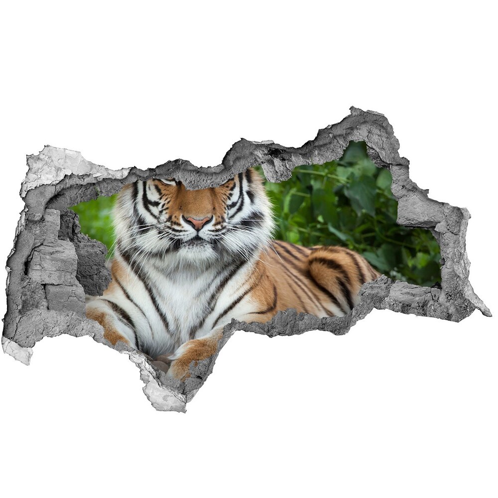 3d fali matrica lyuk a falban Szibériai tigris