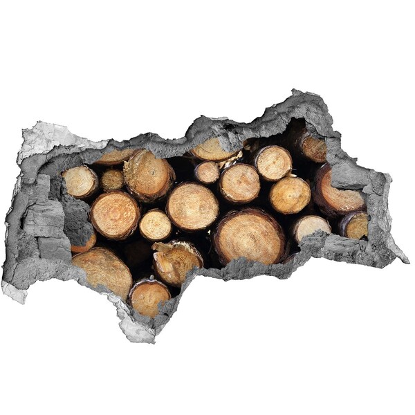 3d fali matrica lyuk a falban Fa a falban lévő lyukban